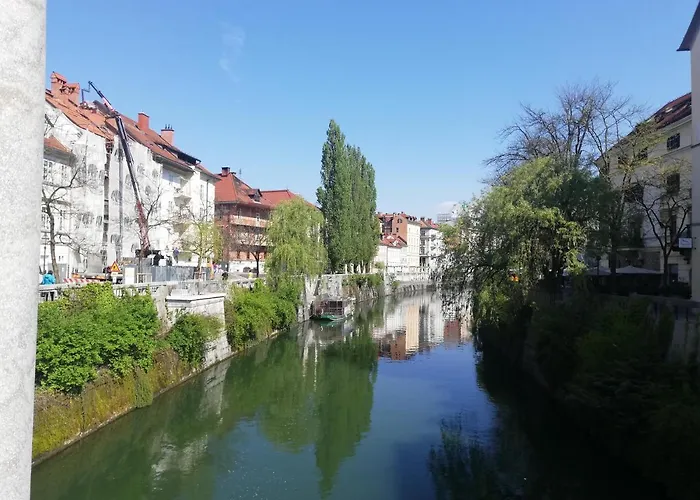 Lovely 2-Bedroom Appartment With Free Parking