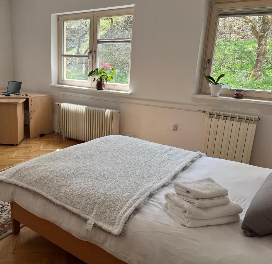 Lovely 2-bedroom With Free Parking Apartment Dobrova